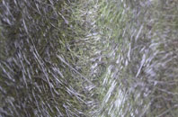 Alrewas fibreglass roof work